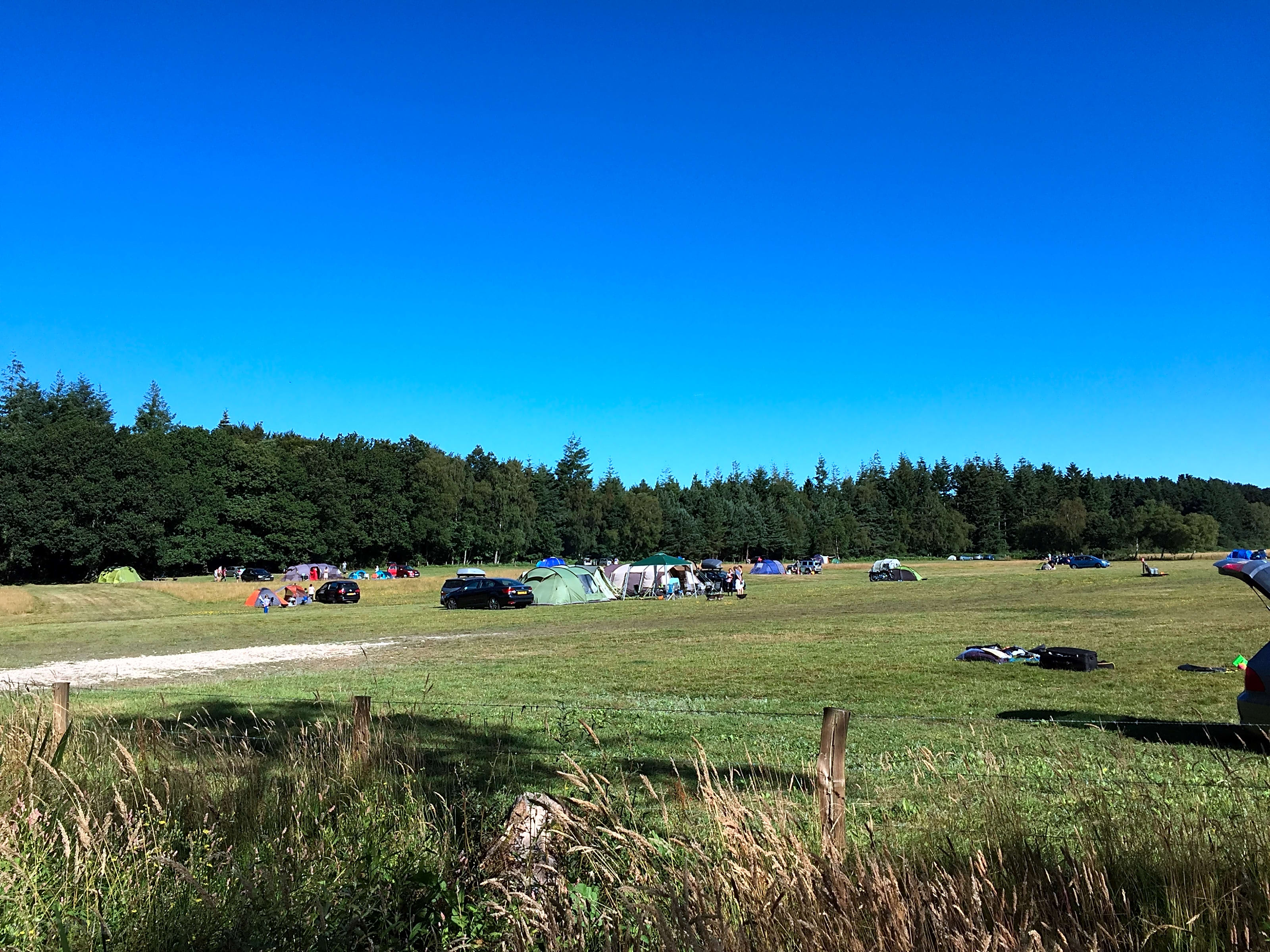 Primrose Fields Campsite