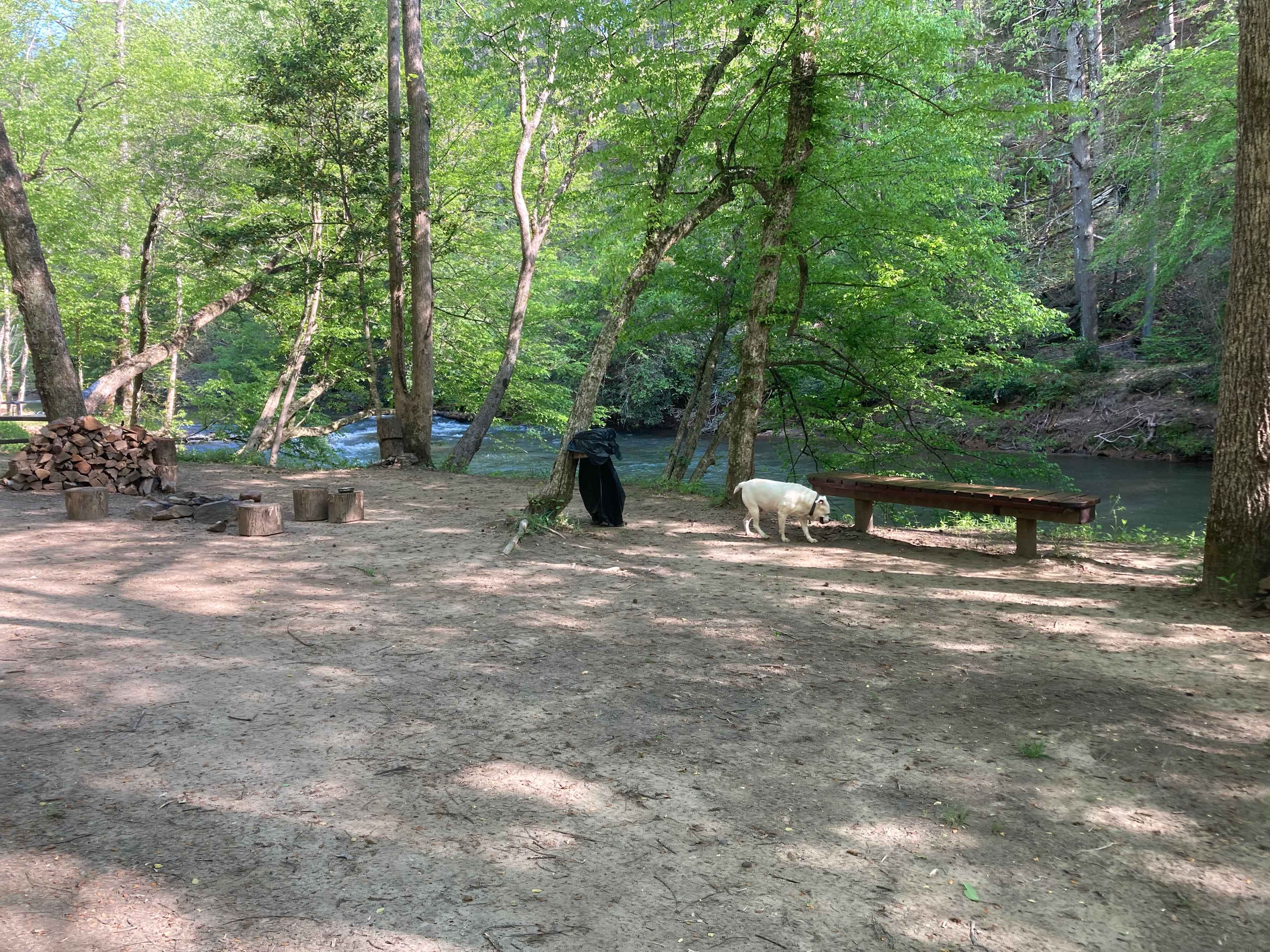 Picture of the site