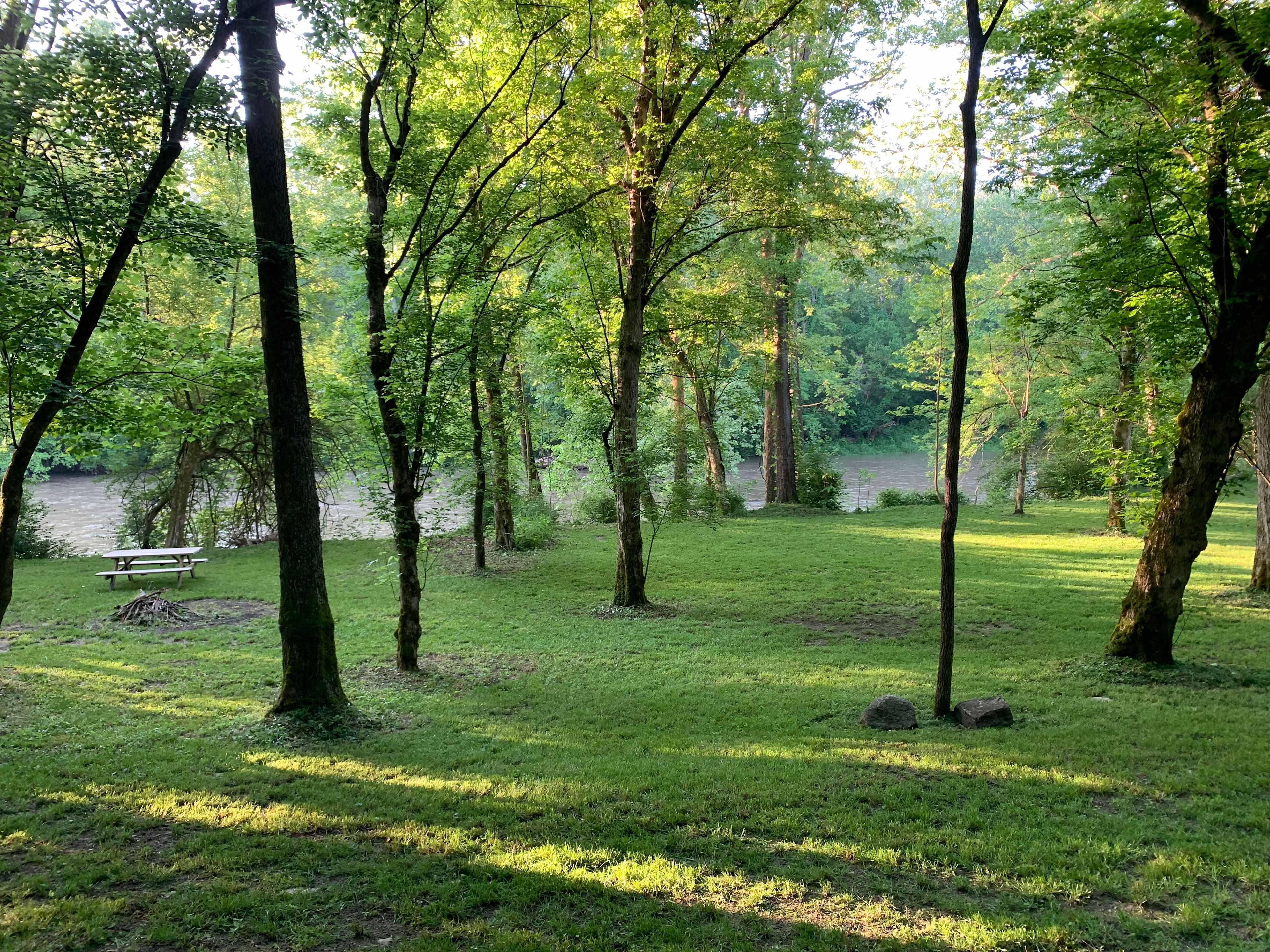 View from your cabin.