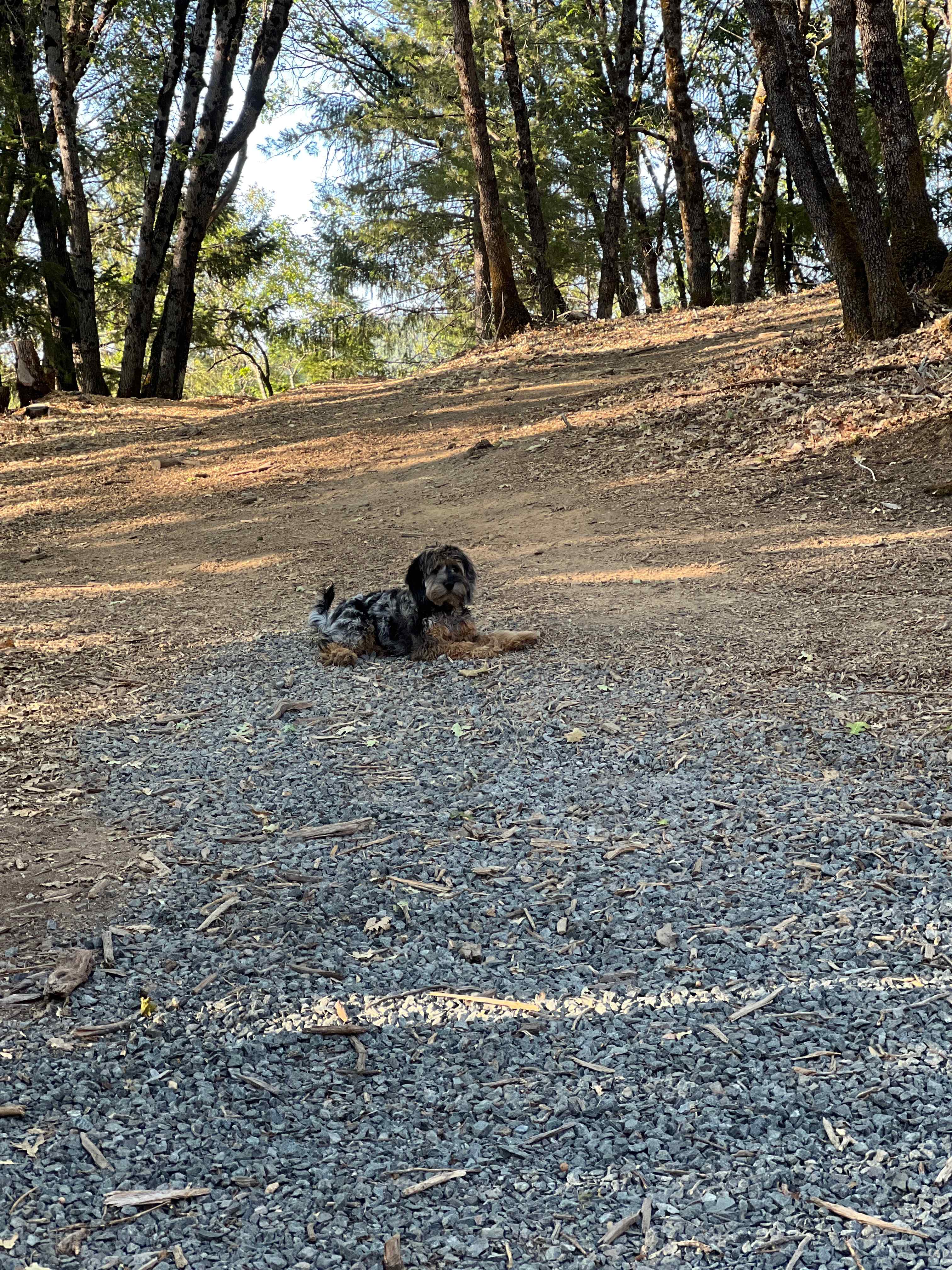 Rollins Lake Retreats with A/C!!!