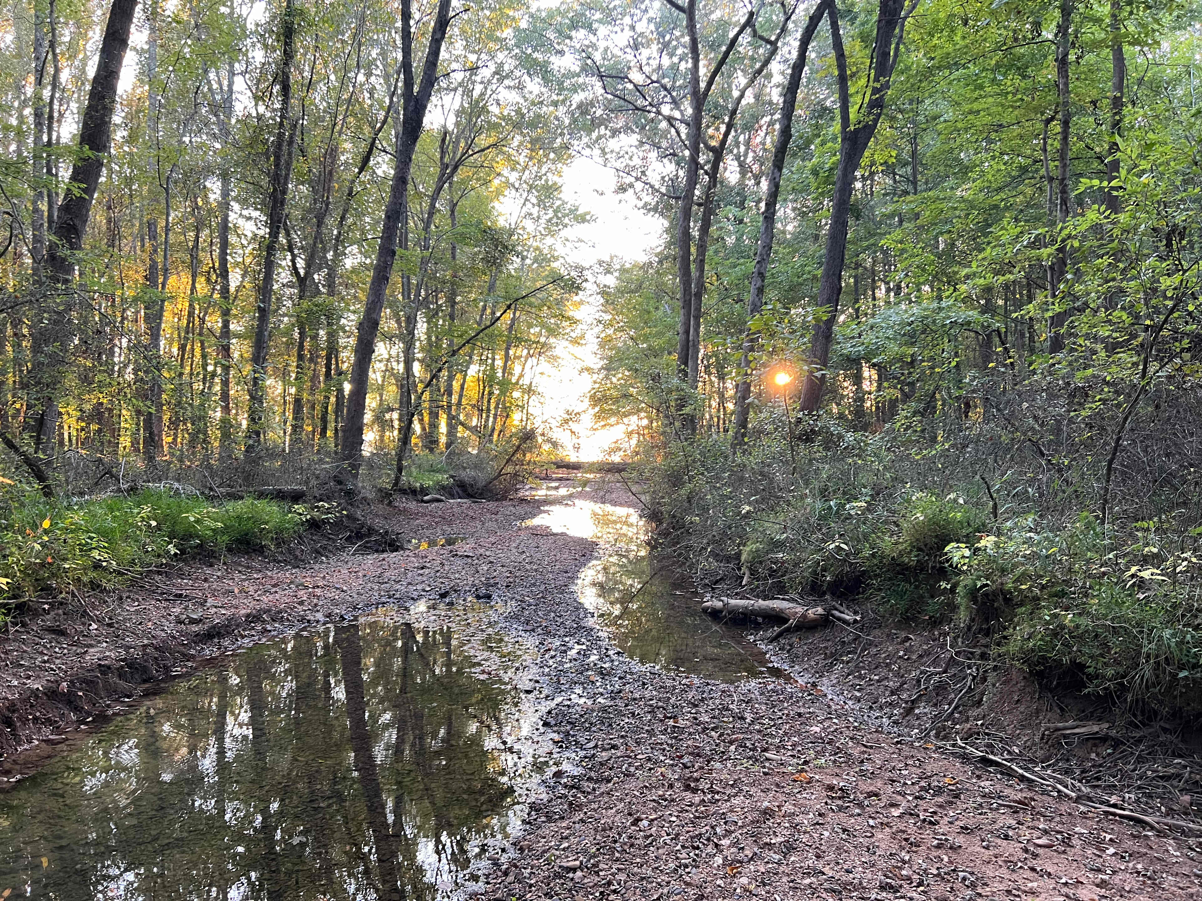 Quiet Lake Lake Barkley Access Camp