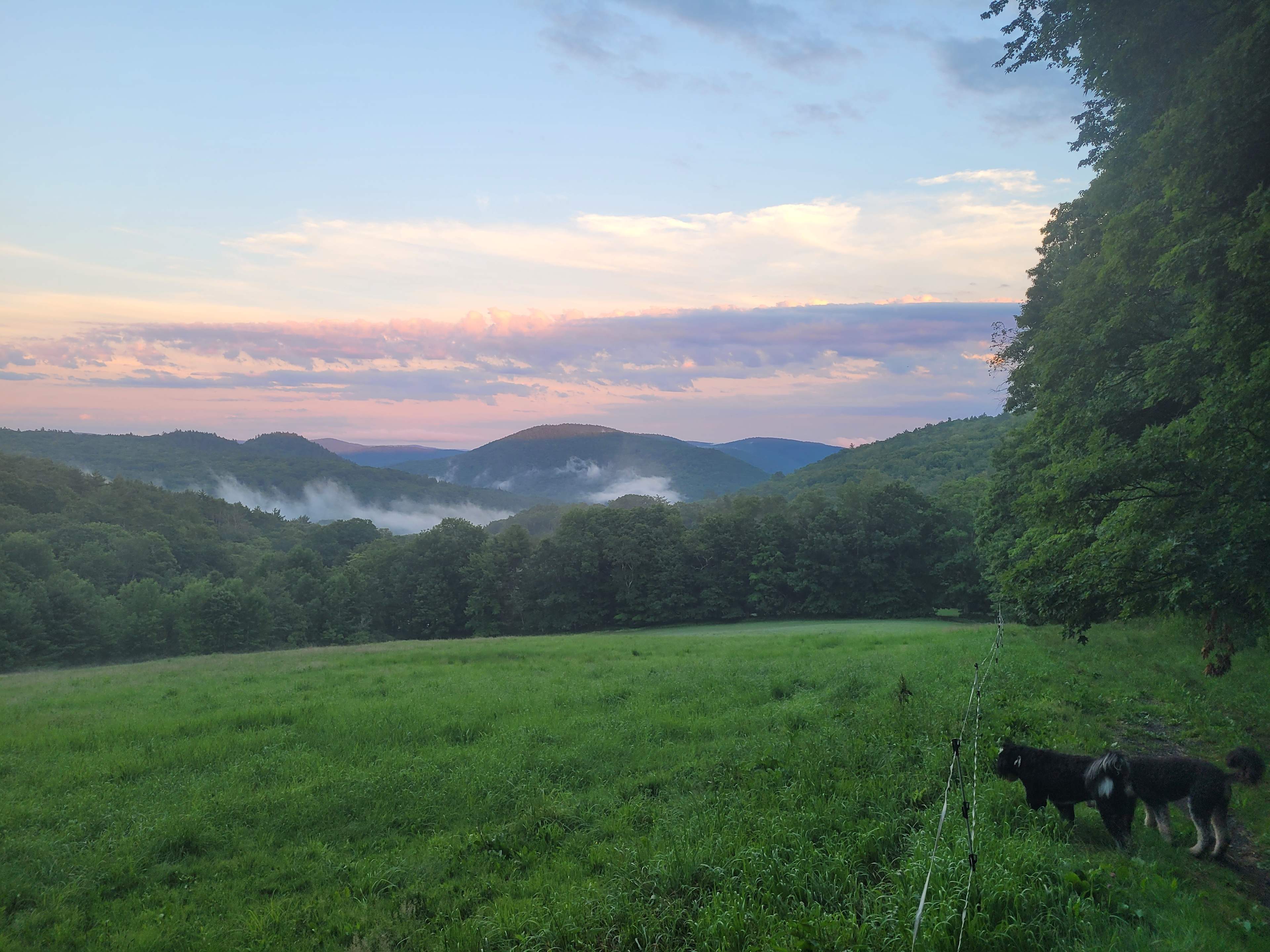 Penti Haven Farm & Horse Retreat