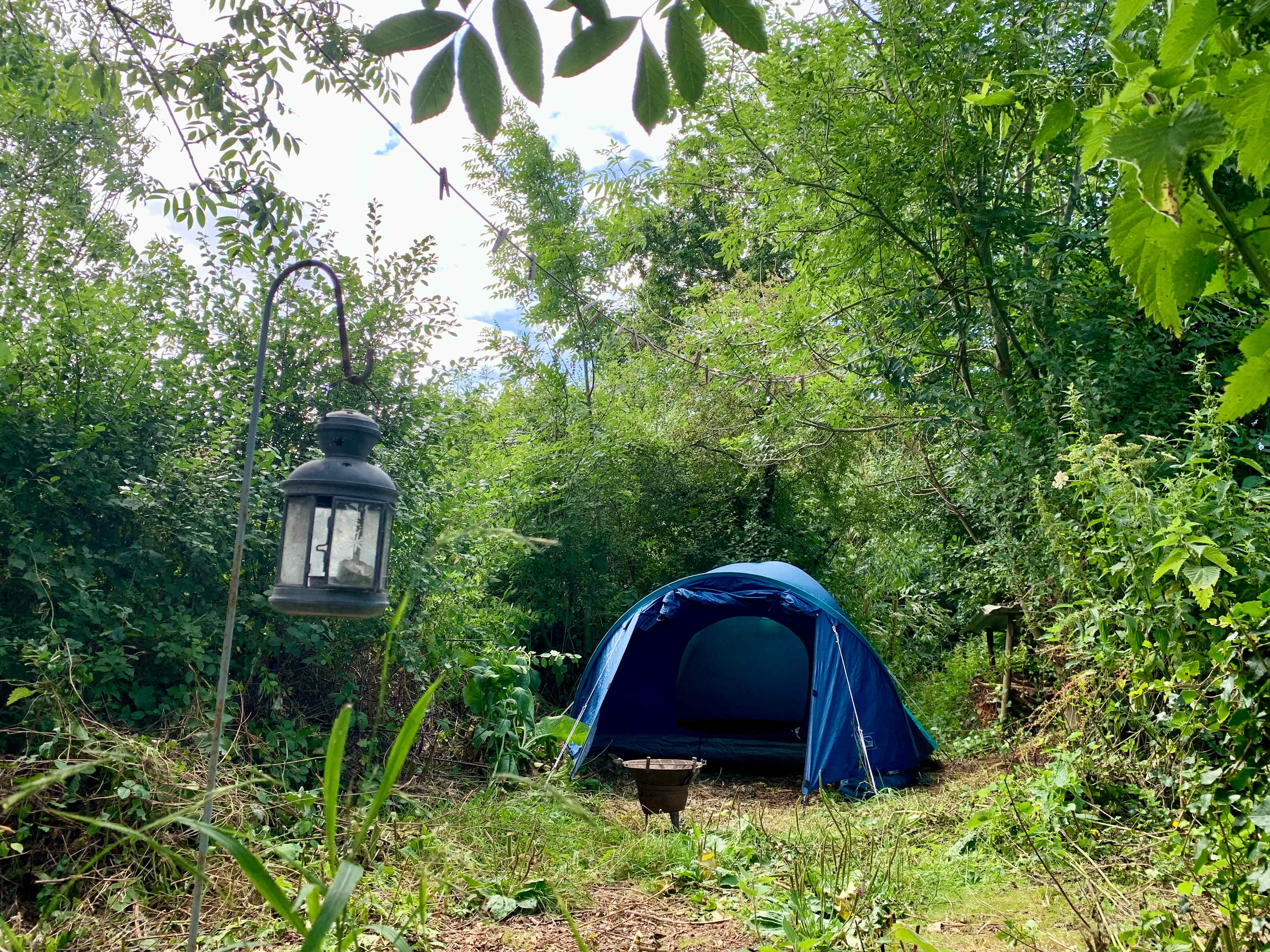 Forest Garden Camp Spot Cardiff