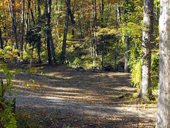 Picture of the site