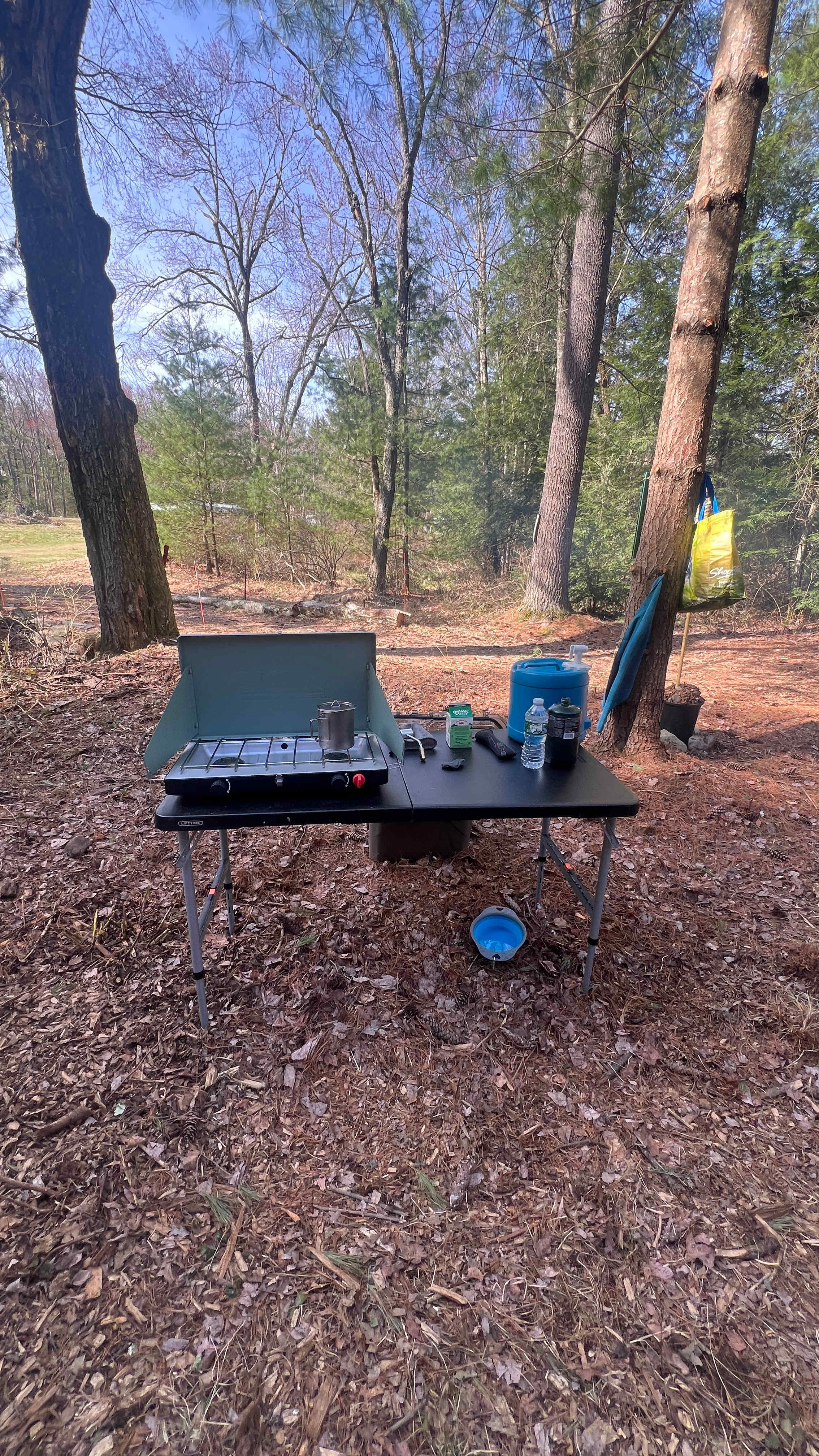 Picture of the site