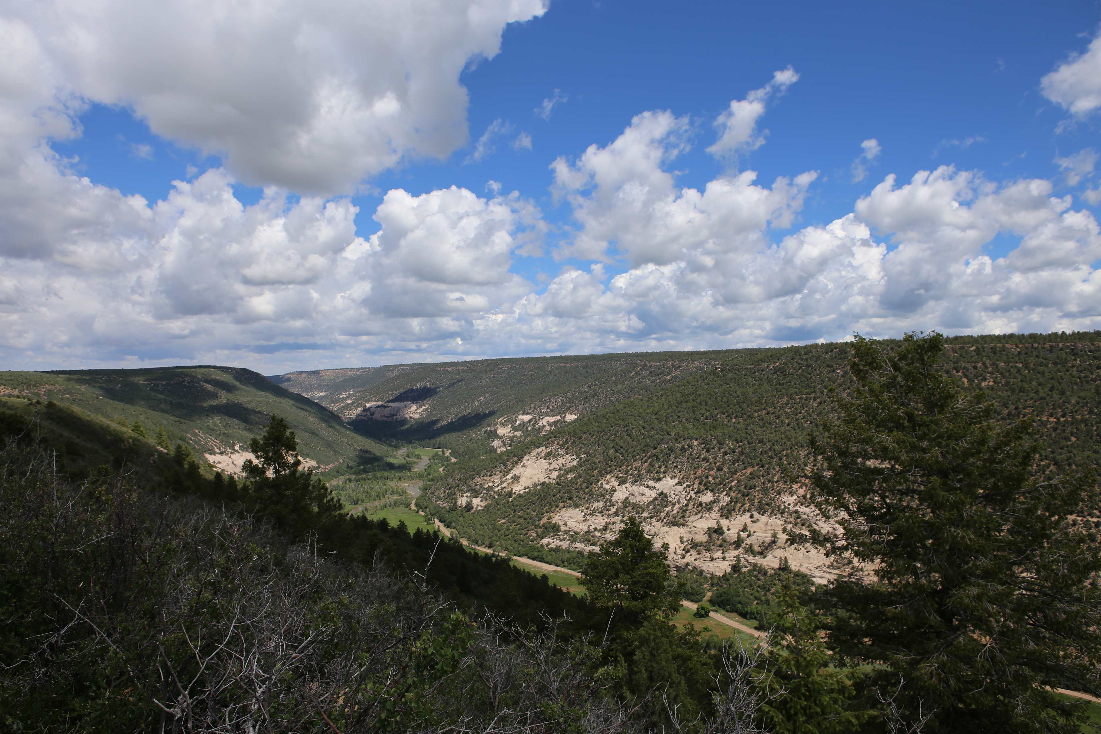 Dolores River Rim Camp