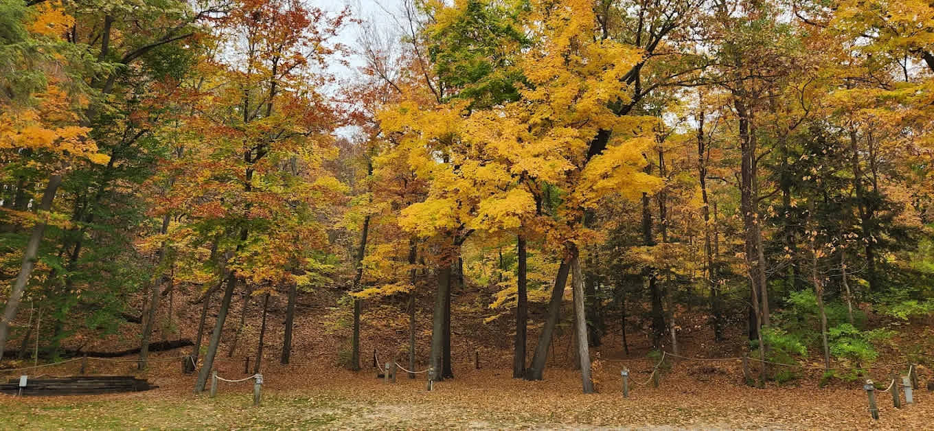 Covert Park Beach & Campground