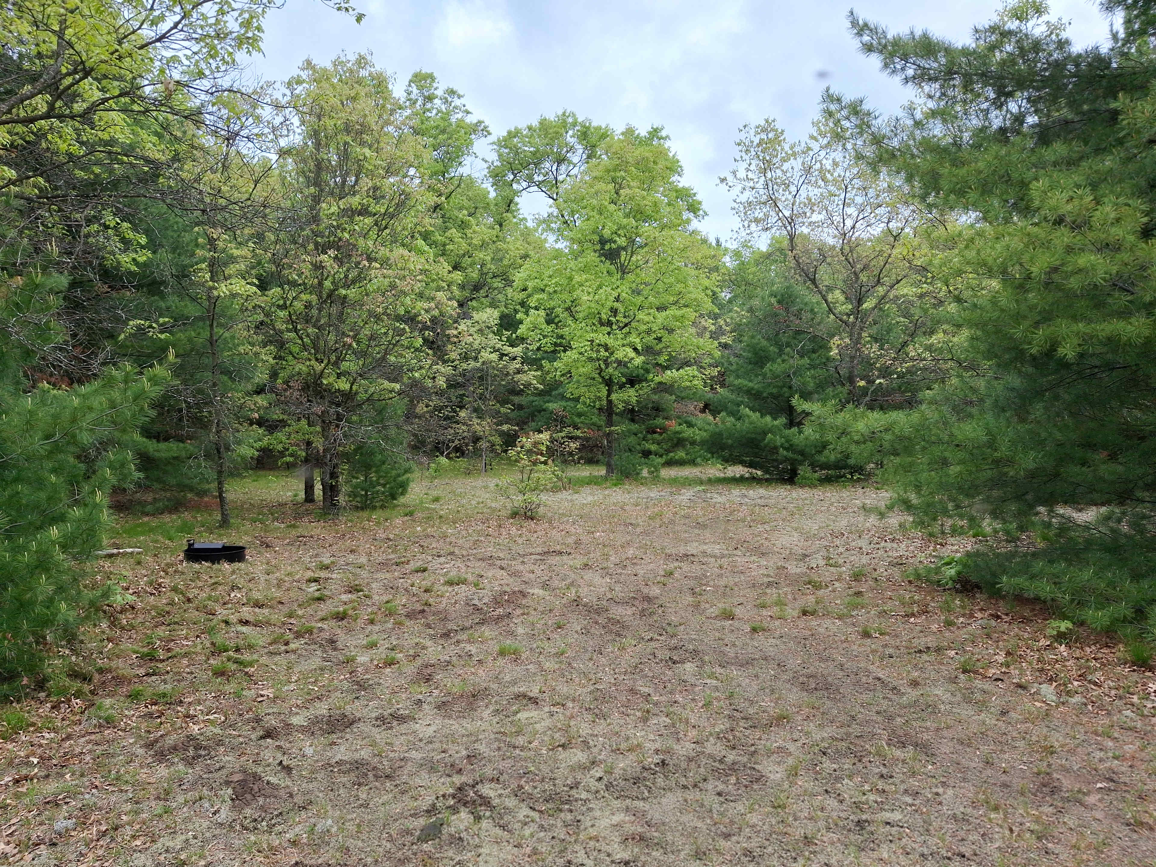 Site #1