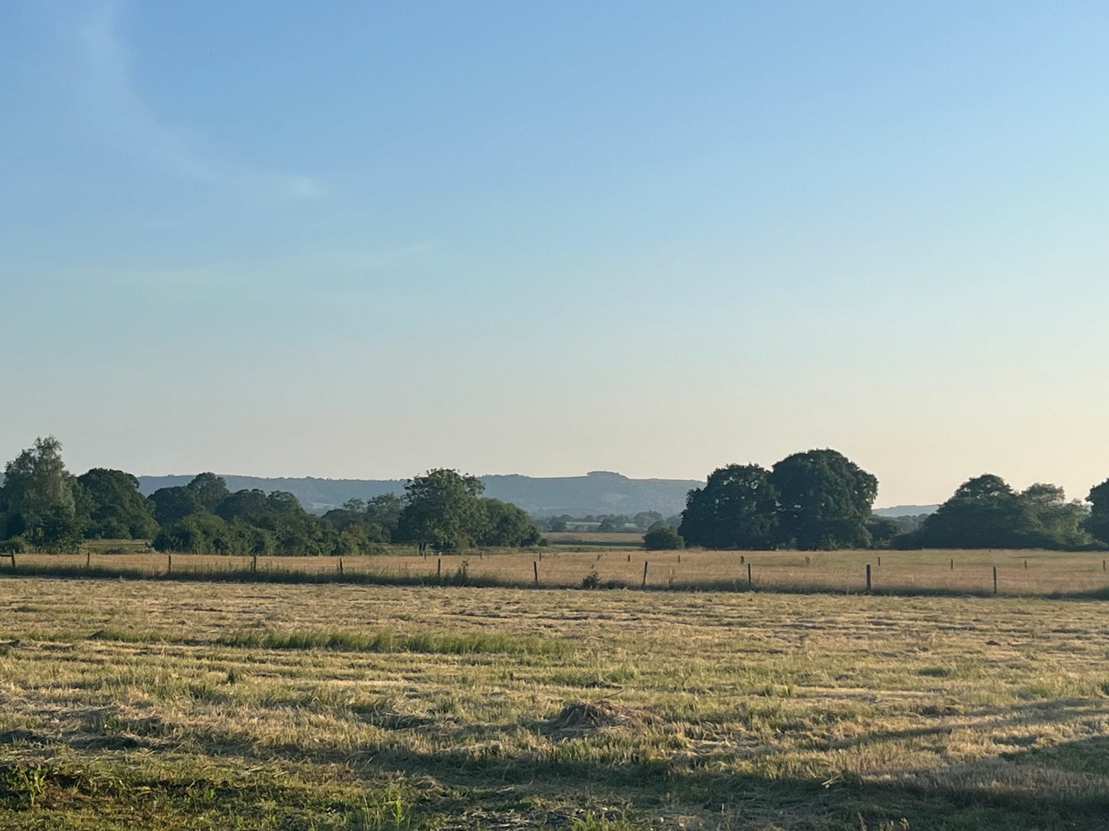 Chanctonbury Ring