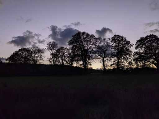 Buckland Farm Camping
