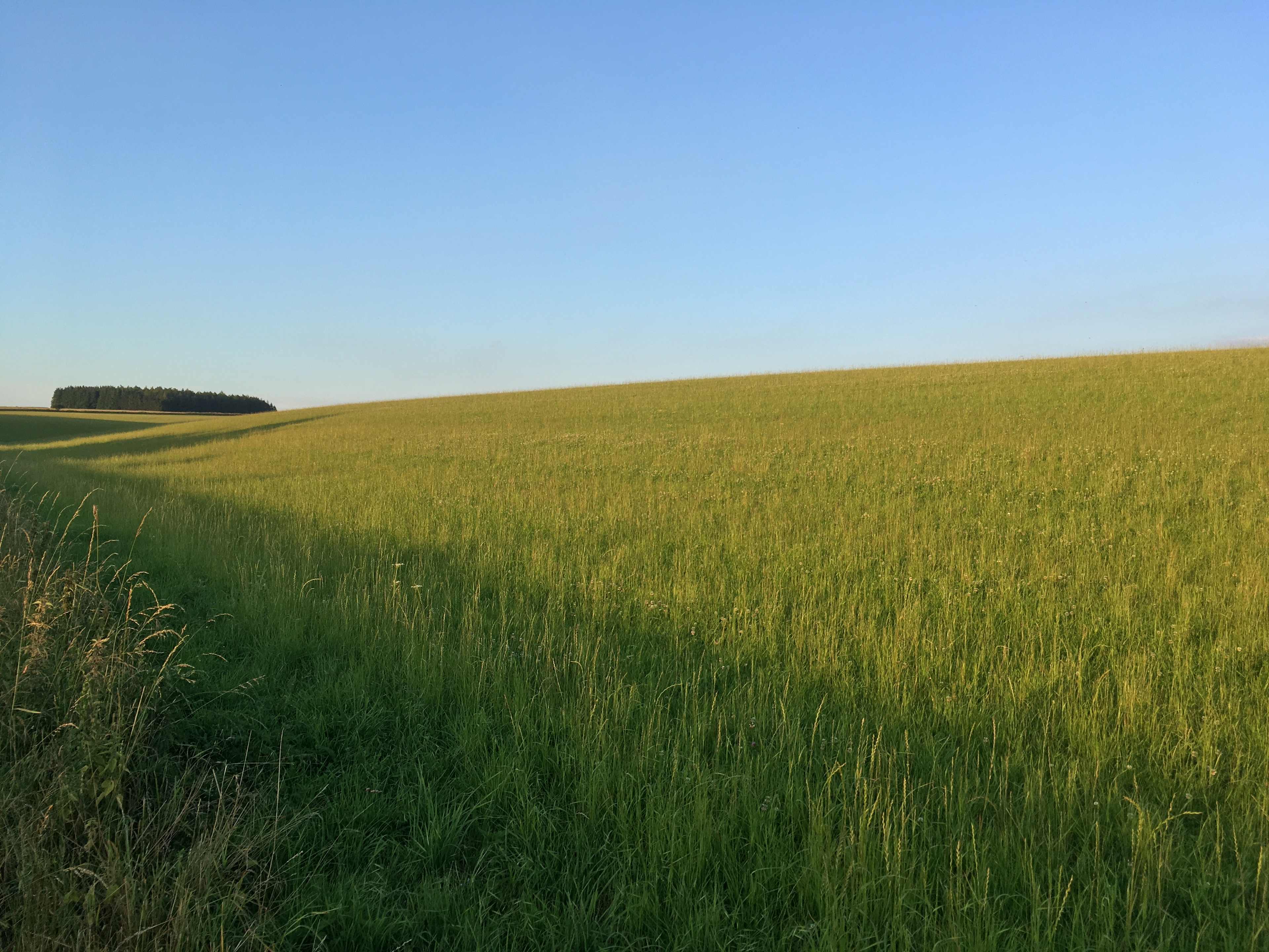 Wild Camping in the Cotswolds