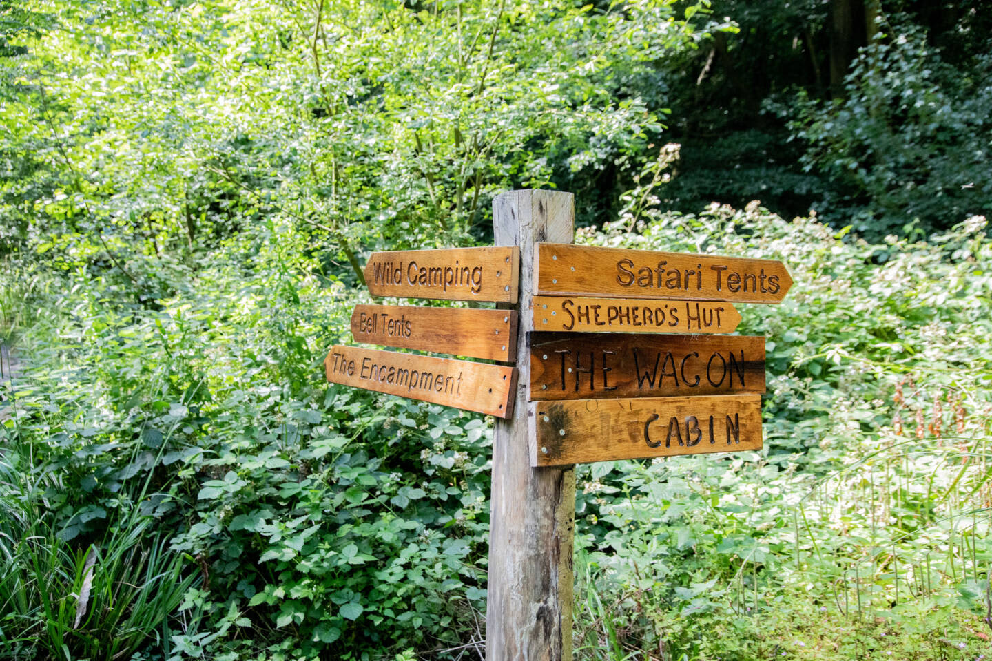Dernwood Farm Wild Camping