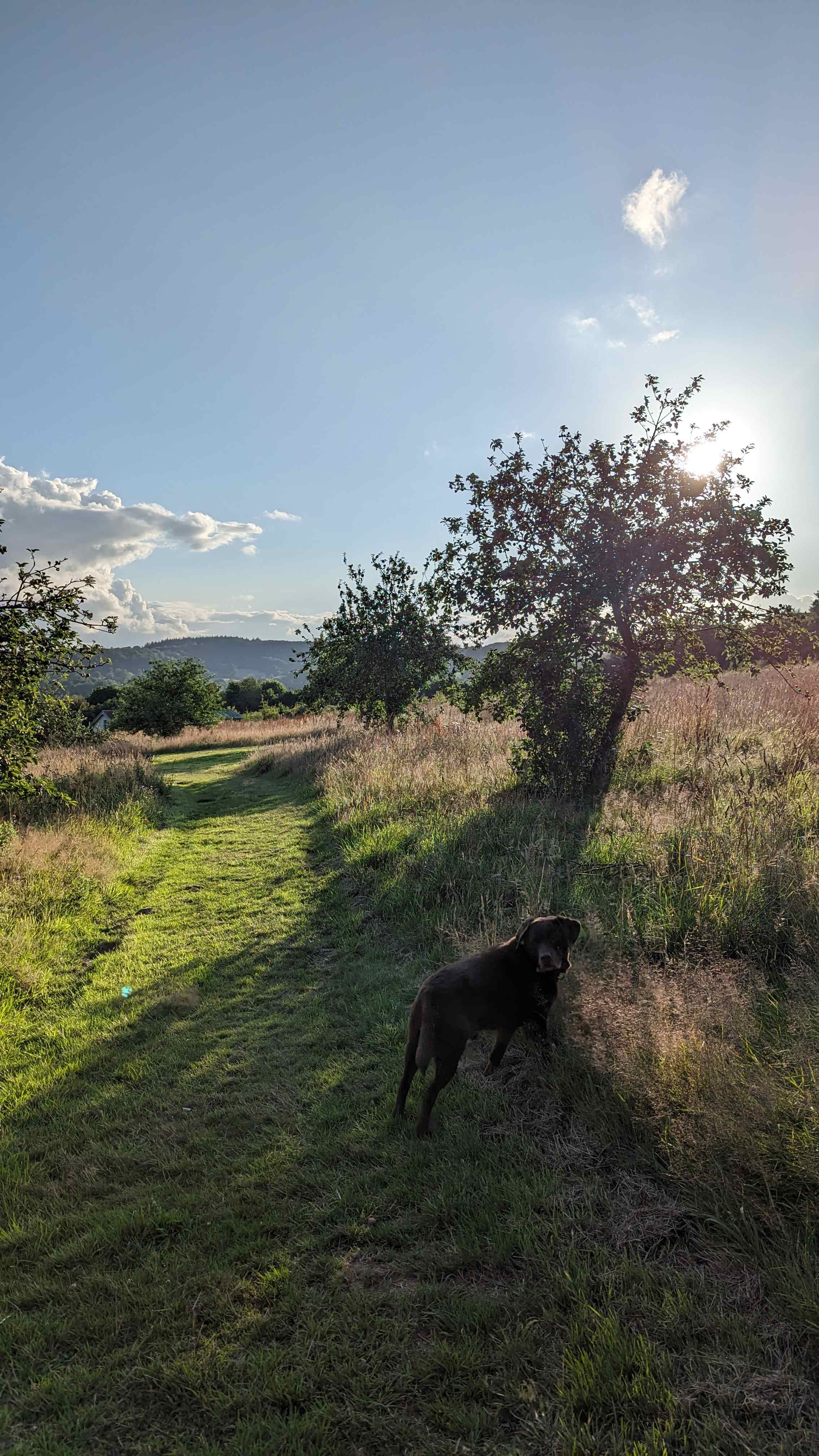 Brig's Farm