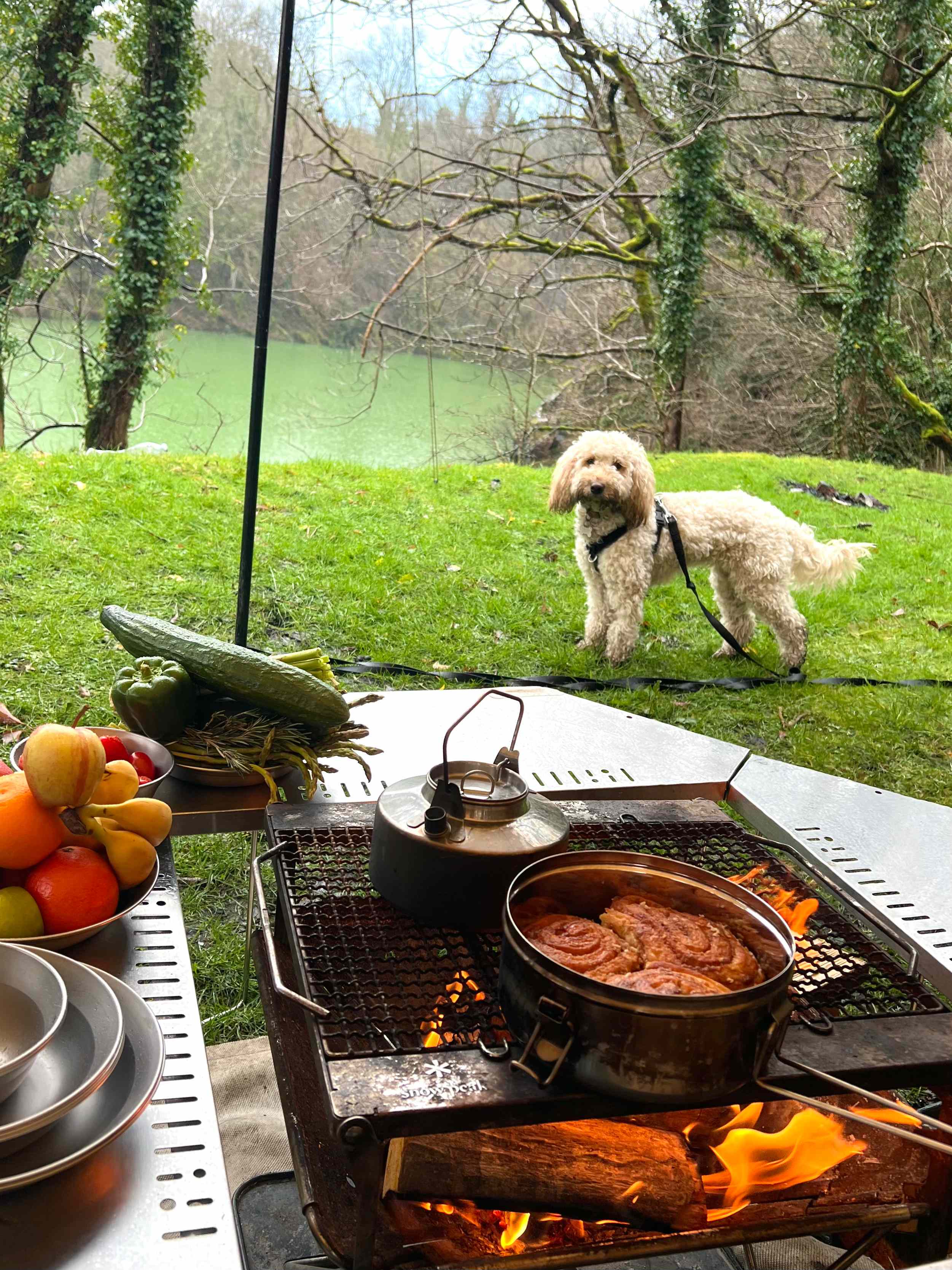 Meldon Lake and Woods Wild Camping