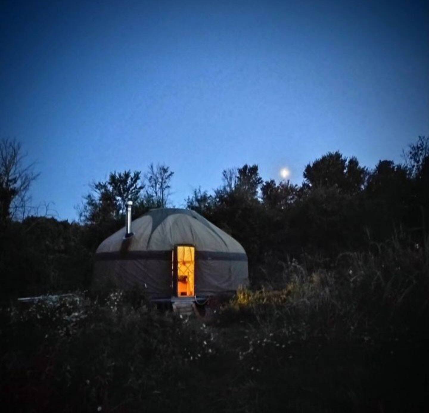 Off Grid Yurt Ashmead Meadow
